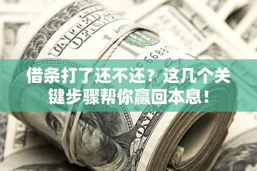 武汉借条打了还不还？这几个关键步骤帮你赢回本息！