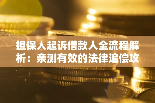 武汉担保人起诉借款人全流程解析：亲测有效的法律追偿攻略