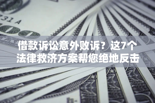 武汉借款诉讼意外败诉？这7个法律救济方案帮您绝地反击！