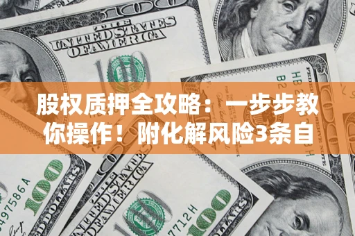 武汉股权质押全攻略：一步步教你操作！附化解风险3条自救法则
