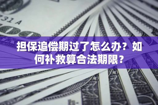 武汉担保追偿期过了怎么办？如何补救算合法期限？
