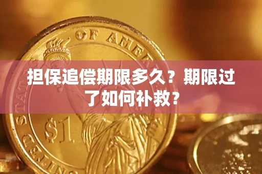 武汉担保追偿期限多久？期限过了如何补救？