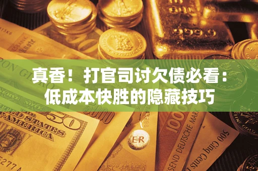 武汉真香！打官司讨欠债必看：低成本快胜的隐藏技巧