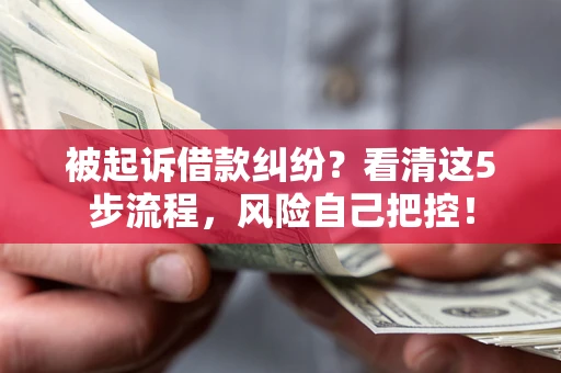 武汉被起诉借款纠纷？看清这5步流程，风险自己把控！