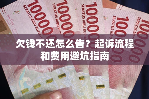 武汉欠钱不还怎么告?起诉流程和费用避坑指南 武汉欠钱不还怎么告?起诉流程和费用避坑指南