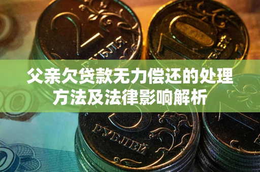武汉父亲欠贷款无力偿还的处理方法及法律影响解析