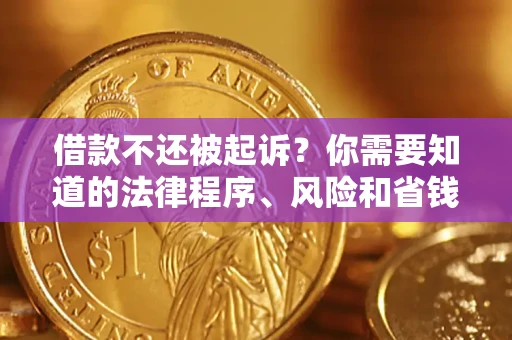 武汉借款不还被起诉？你需要知道的法律程序、风险和省钱技巧
