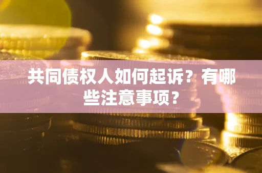 武汉共同债权人如何起诉？有哪些注意事项？