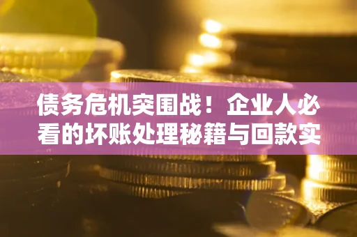武汉债务危机突围战！企业人必看的坏账处理秘籍与回款实战指南