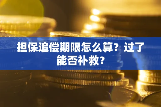武汉担保追偿期限怎么算？过了能否补救？